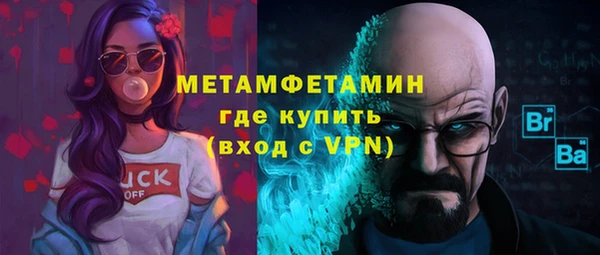 индика Новокубанск