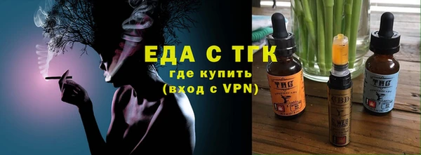 индика Новокубанск