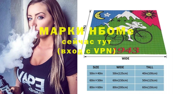 индика Новокубанск