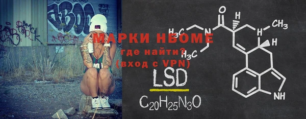 индика Новокубанск